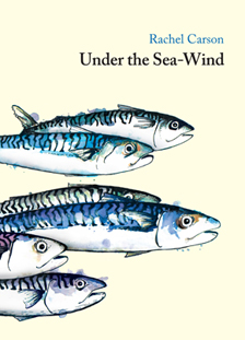 Under_the_Sea_Wind_224