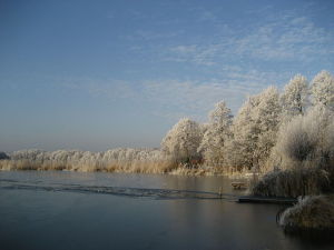 Nesselpfuhl in Winter. G. Fischer/Wikimedia Commons