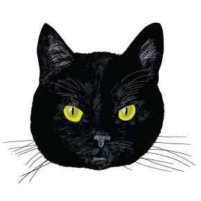 All black cats are not alike - Bookanista