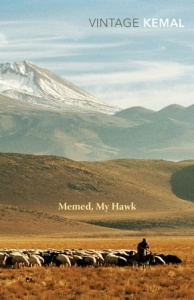 memed-my-hawk