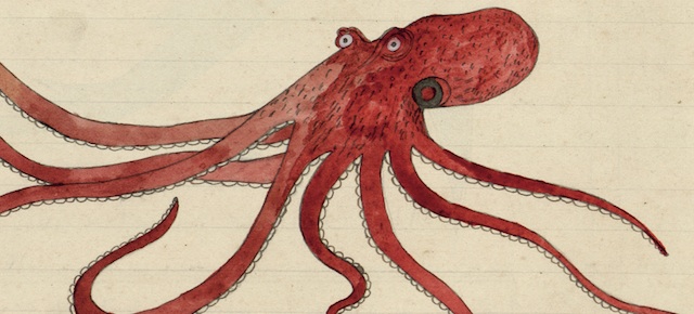 The sea journal - Bookanista