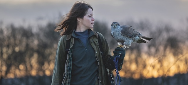Bookmarking the BFI London Film Festival